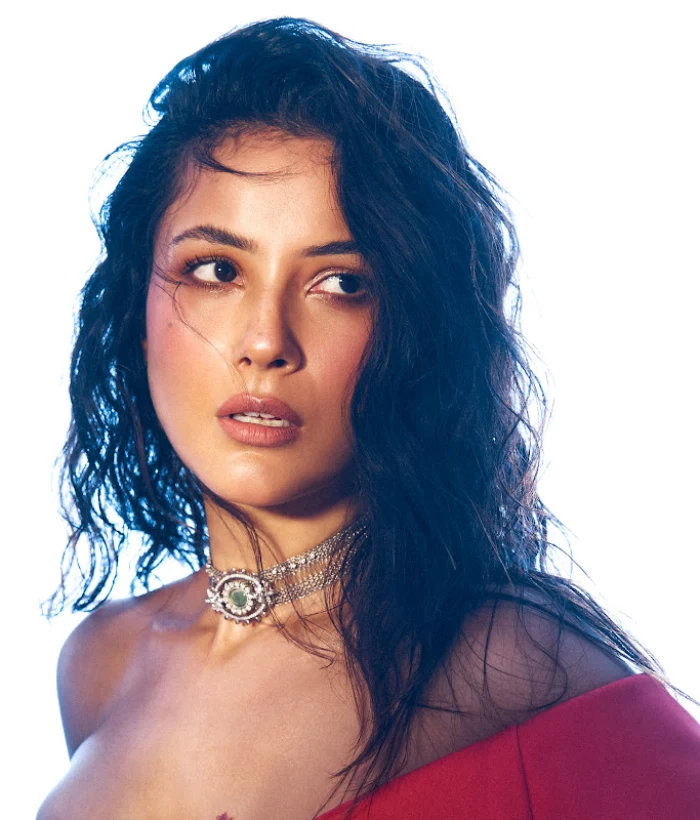 Shehnaaz Gill — Celebrities Celebrity